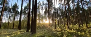 Tver Migalovo: leje af privatfly