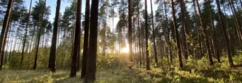 Zweibruecken : location de jet privé