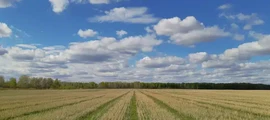 Anapa Vityazevo: leje af privatfly 