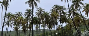 Union Island: privat jetudlejning