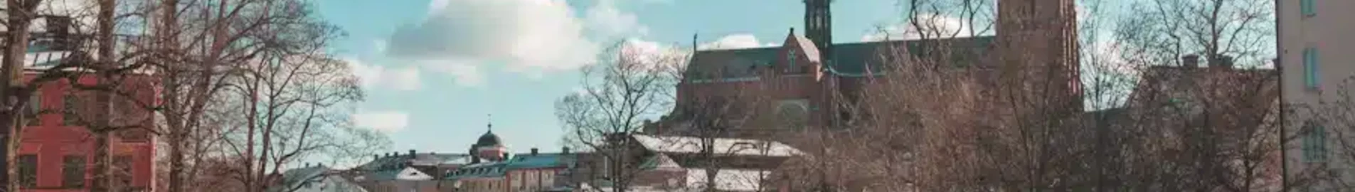 Uppsala: leje af privatfly