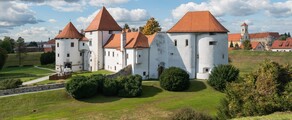Varazdin: leje af privatfly 
