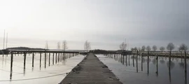 Arboga: leje af privatfly