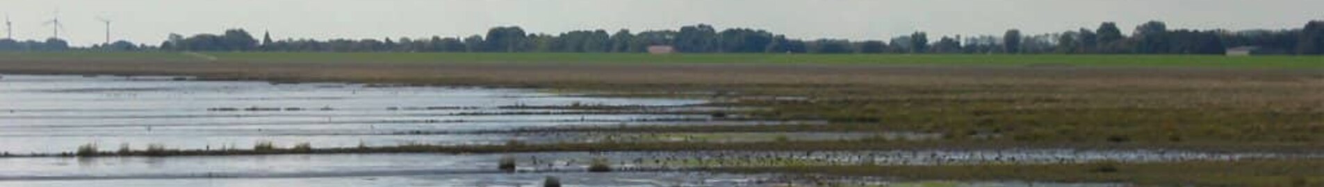 Wilhelmshaven Mariensiel: privat jetudlejning 