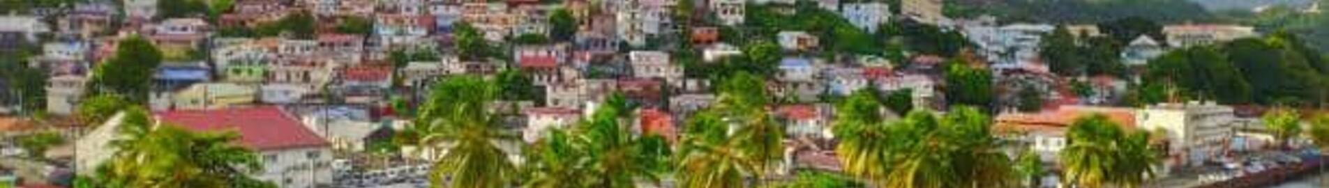 Fort-de-France: leje af privatfly