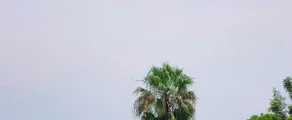 Goma: leje af privatfly