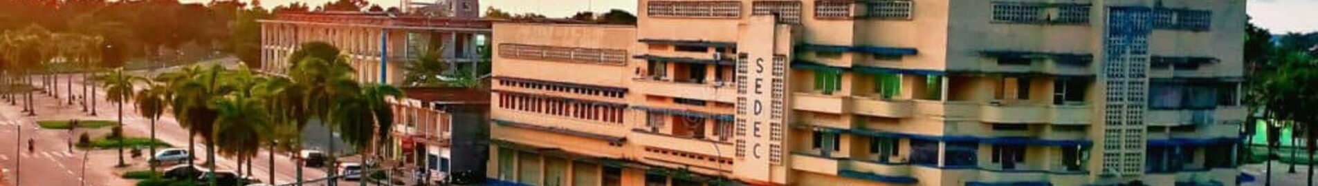 Kisangani Simisini: leje af privatfly