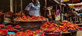 Bauchi: leje af privatfly
