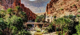 Oran: leje af privatfly