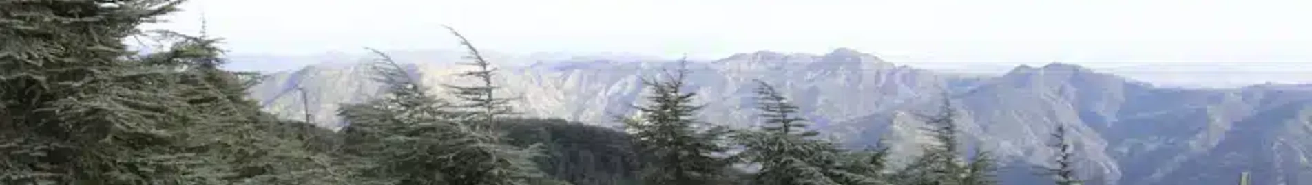 Blida: leje af privatfly