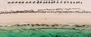 Djerba Zarzis: leje af privatfly