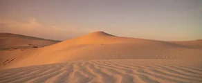 El Oued Guemar: leje af privatfly