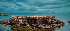 Tunis: udlejning af privatfly