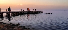 Djerba Zarzis: leje af privatfly
