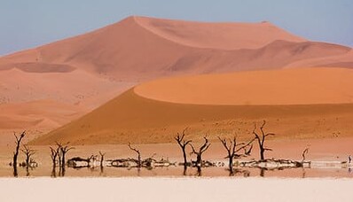 Medicinsk hjemtransport mellem Madagaskar og Frankrig: guiden