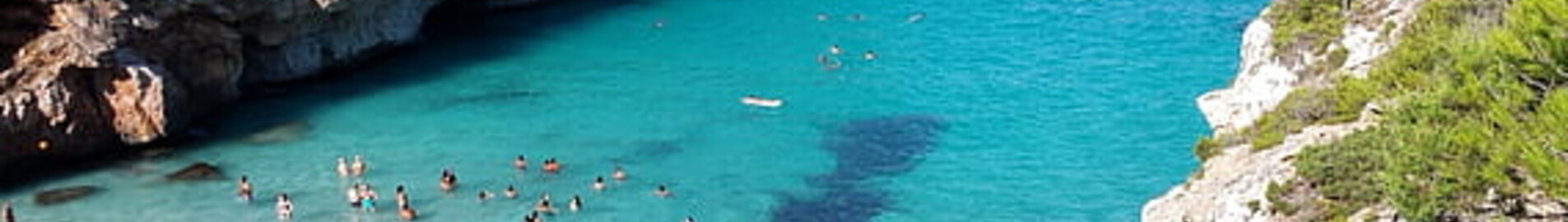 Nice - Palma de Mallorca: leje af privatfly 
