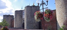 Colmar Houssen: leje af privatfly 