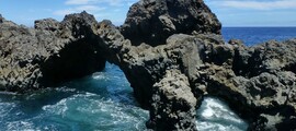 Grenada: leje af privatfly 