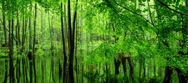 Finsterwalde Schacksdorf: leje af privatfly 