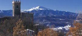 Udine Campoformido: leje af privatfly 