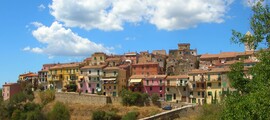 Forli: leje af privatfly 