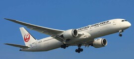Airbus A318 intérieur en cuir