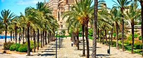 Napoli - Palma de Mallorca: leje af privatfly