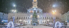 Arad: leje af privatfly 
