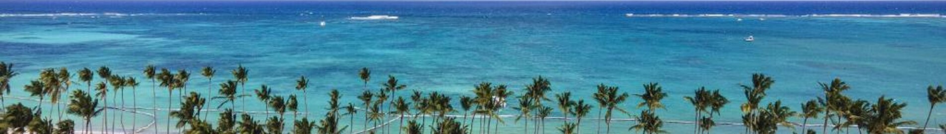 Palm Beach: leje af privatfly
