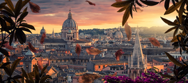 Bruxelles - Ibiza: leje af privatfly