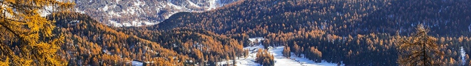 Saint-Tropez - Saint-Moritz Samedan: leje af privatfly