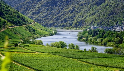 Europæiske vingårde at besøge med privatfly