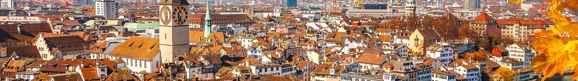 Hamborg - Zürich: leje af privatfly