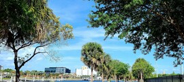 Las Vegas - Dallas: leje af privatfly