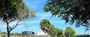 Los Angeles - Tampa: leje af privatfly