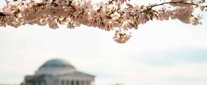 Las Vegas - Washington DC: leje af privatfly