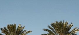 Las Vegas - Boston: leje af privatfly