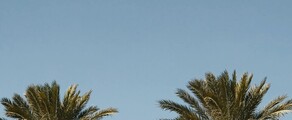 Houston - Orlando: leje af privatfly