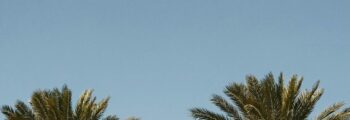 Las Vegas - Boston location jet privé