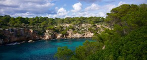 Frankfurt - Palma: leje af privatfly