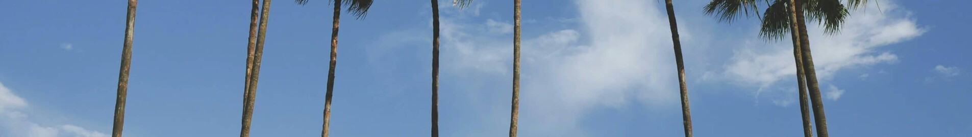 Los Angeles - Orlando: leje af privatfly