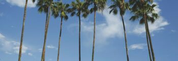francfort marrakech location jet privé