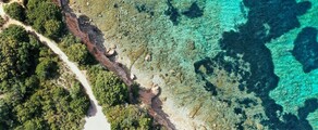 Frankfurt - Olbia: leje af privatfly