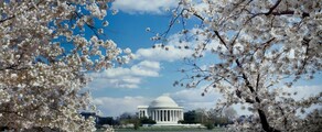 Los Angeles - Washington DC: leje af privatfly