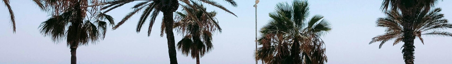 Frankfurt - Barcelona: leje af privatfly