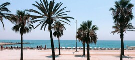Saint-Tropez - Palma de Mallorca: leje af privatfly 