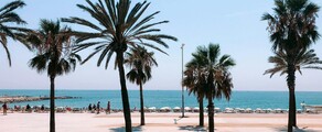 Frankfurt - Barcelona: leje af privatfly
