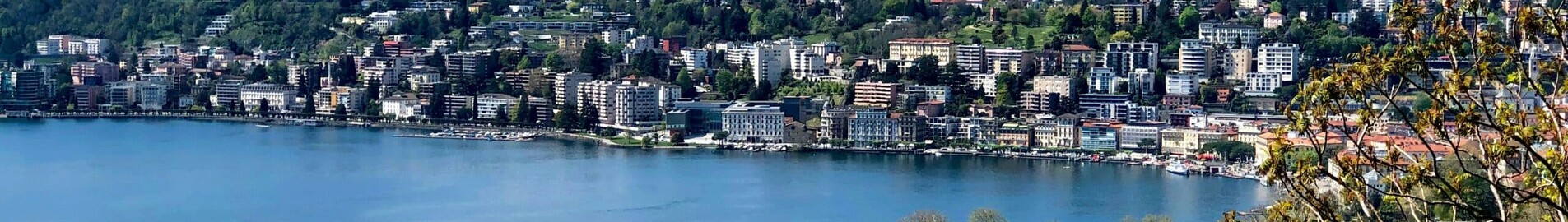 Frankfurt - Lugano: leje af privatfly