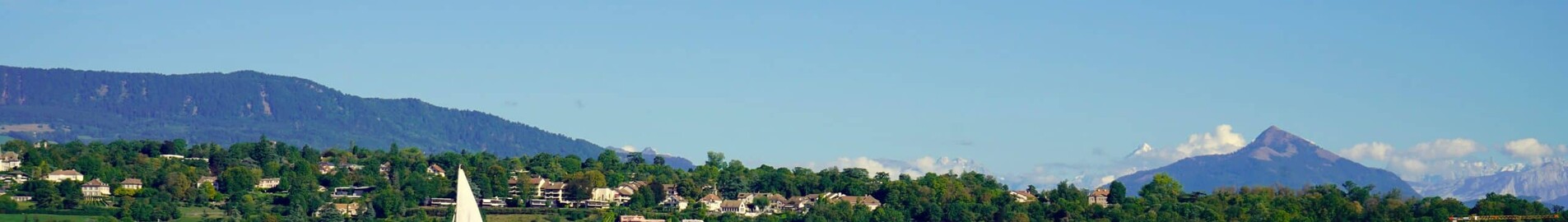 New York - Genève: leje af privatfly