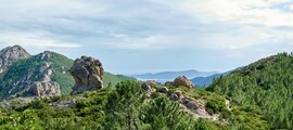 Cannes - Lissabon: leje af privatfly